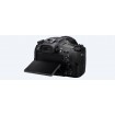 Sony RX10 IV with 0.03s. AF/25x optical zoom
